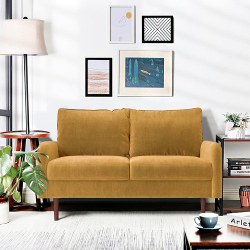 Wayfair Velvet Sofas You'll Love in 2023